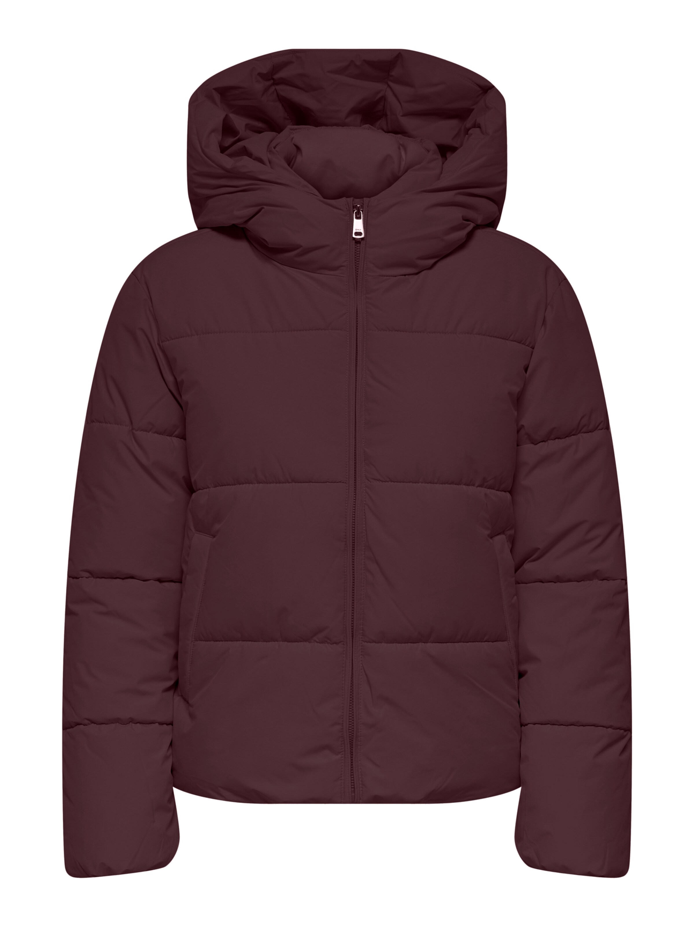 ONLY Winter jacket 'ONLJUTA' in XXS in Chocolate, Item view