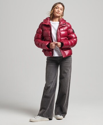 Superdry Winterjas in Rood