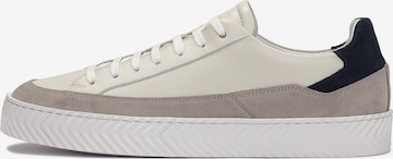 Kazar Sneakers in Grey: front