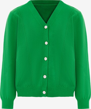 SANIKA Knit Cardigan in Green: front