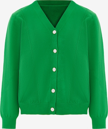 SANIKA Knit Cardigan in Green: front
