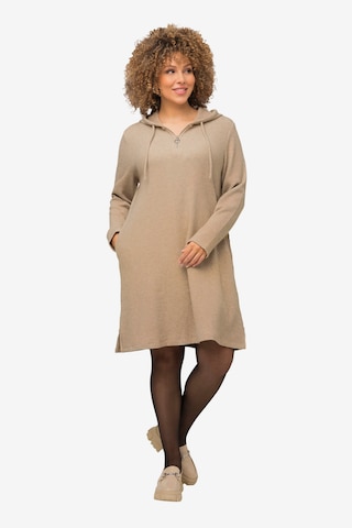 Ulla Popken Sweater in Beige