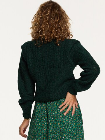 Shiwi Knit Cardigan 'Aspen' in Green