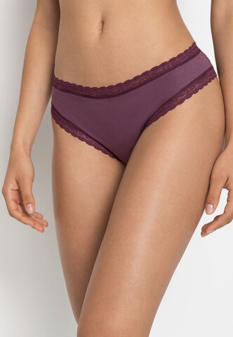 Slip s.Oliver en violet : devant