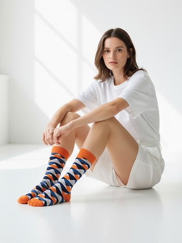 The Arctic Bay Socken 'DISCOVERY PACK EDITION' in Mischfarben