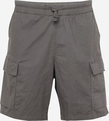 Pantaloni cargo 'Surplus Cargo Short' di LEVI'S ® in grigio: frontale