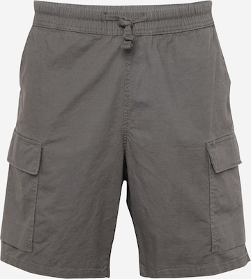 LEVI'S ® Cargobroek 'Surplus Cargo Short' in Grijs: voorkant