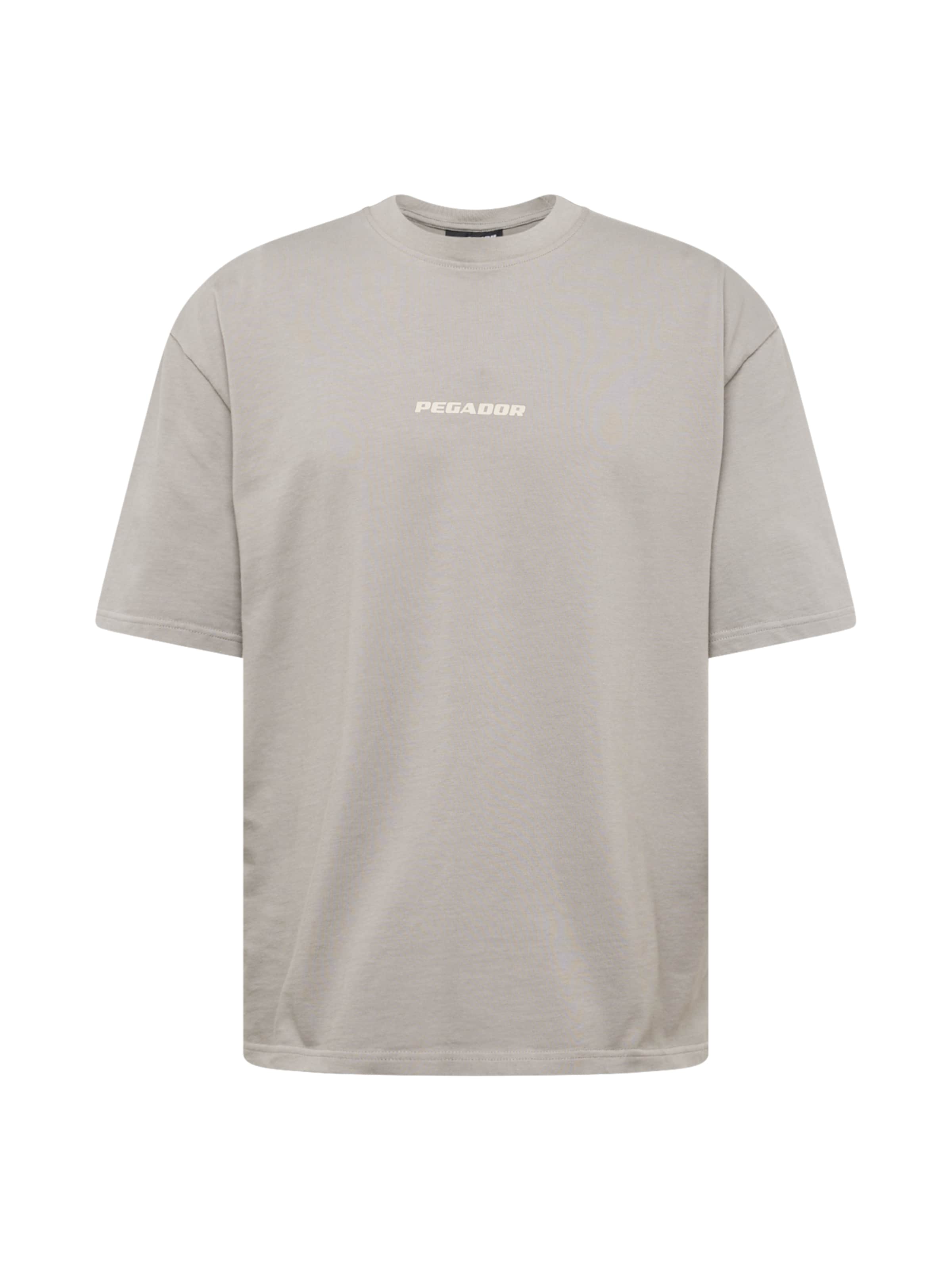 Pegador Póló 'PGDR Colne Logo Oversized Tee' - szürke: elől