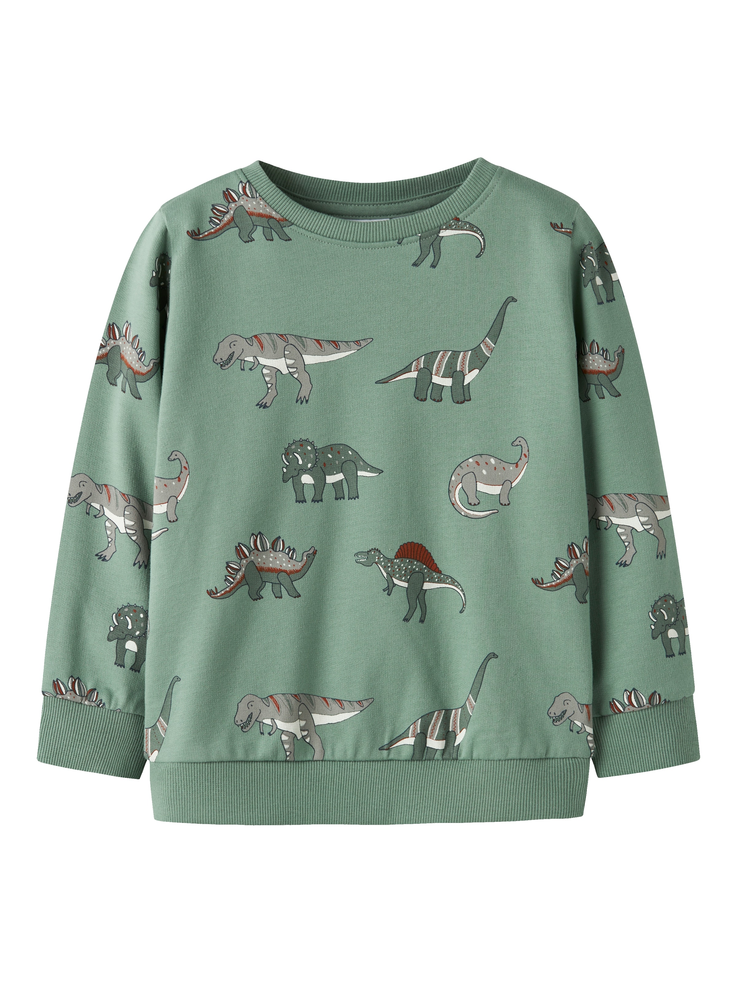 NAME IT Μπλούζα φούτερ 'NMMNenean' σε πράσινο: μπροστά