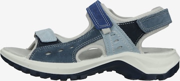 IMAC Hiking Sandals in Blue