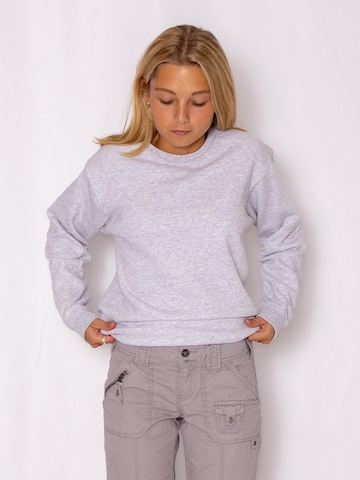 FRUIT OF THE LOOM Sweatshirt 'Crewneck sweatshirt' in Grijs