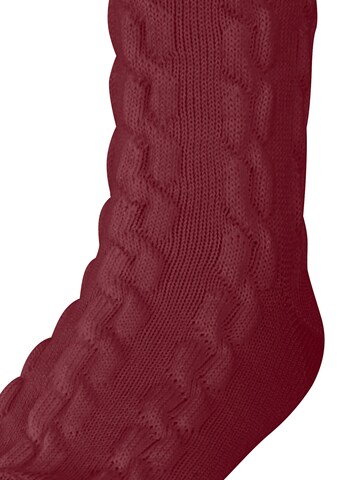 FALKE Socks 'Preppy Cable' in Red: front