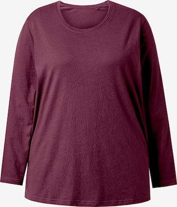 Ulla Popken Shirt in Lila: Vorderseite
