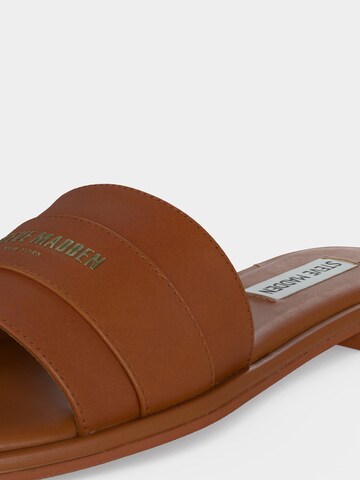 STEVE MADDEN Muiltjes 'Ashten' in Bruin