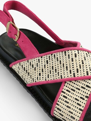 Scalpers Strap Sandals 'Bio Trim' in Pink