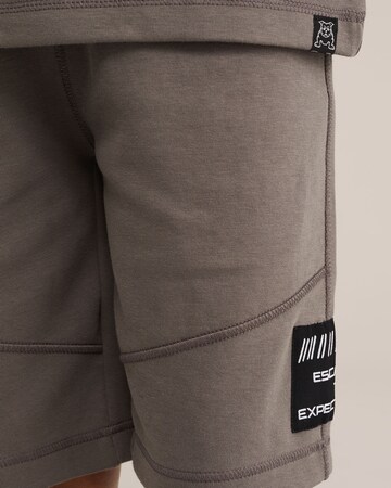 WE Fashion Štandardný strih Nohavice - Sivá