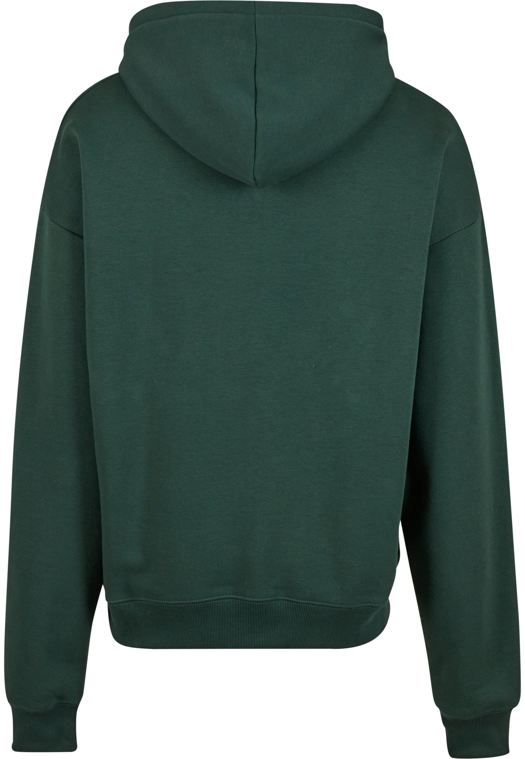 Prohibited Sweatshirt 'Camden' in Green