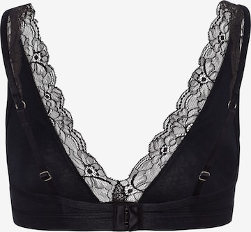 Hanro Triangel Soft Cup BH ' Cotton Lace ' in Schwarz