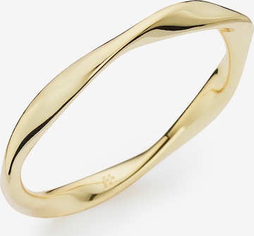 HECHTER PARIS Ring in Gold: front