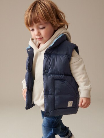 Gilet di Next in blu: frontale