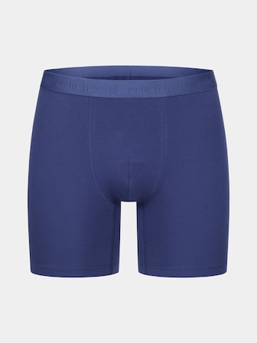 Erlich Textil Boxer shorts in Blue: front