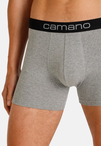 camano Boxershorts in Grau