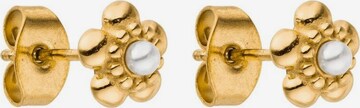 PURELEI Earrings 'Shiny Bloom' in Gold: front