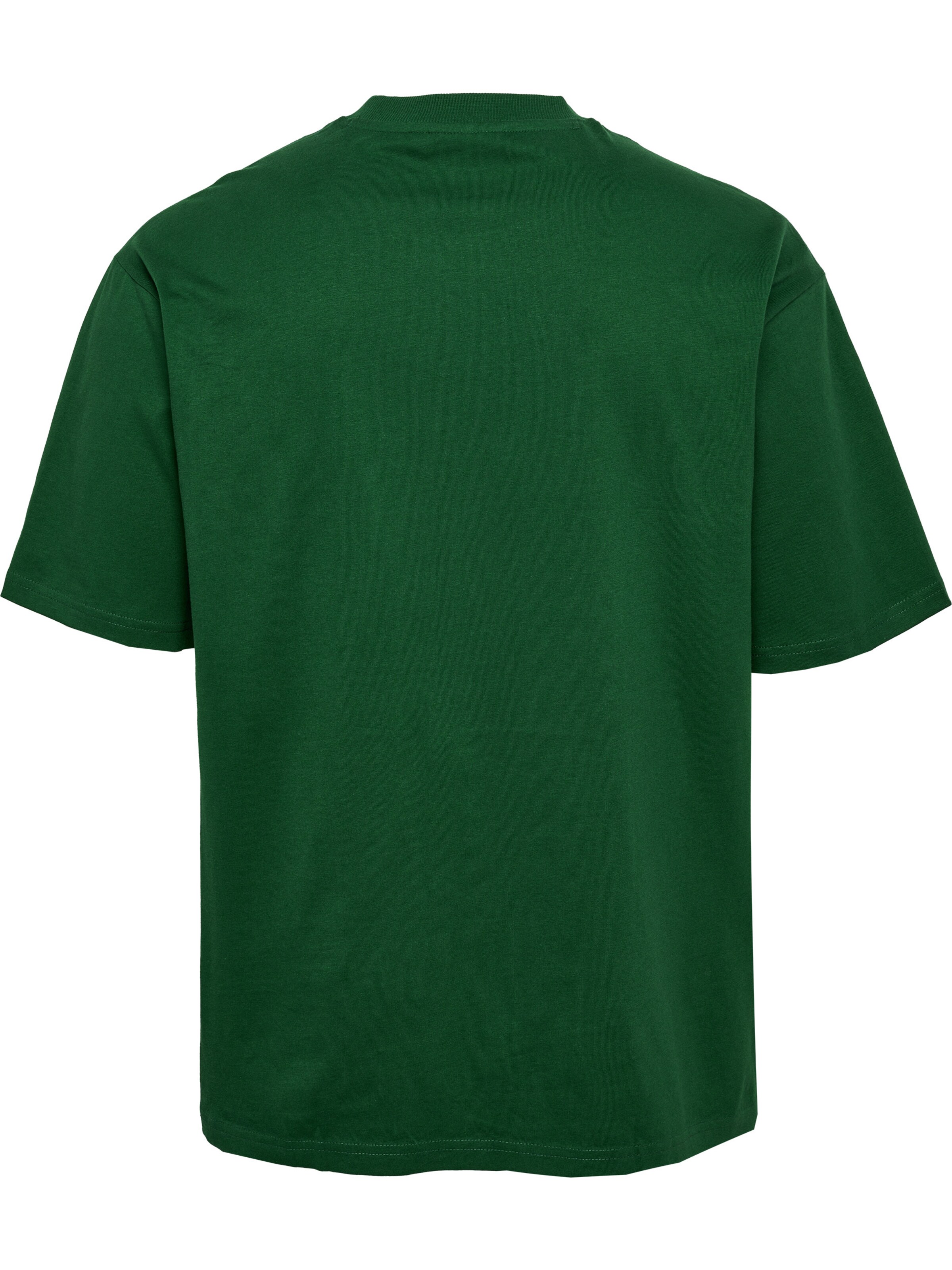 Hummel Bluser & t-shirts 'Swarm' i grøn