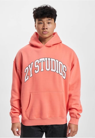 2Y Studios Sweatshirt 'Globus' in Oranje