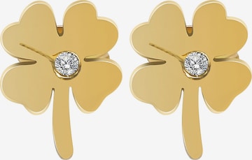 Akzent Earrings 'Dayna, langlebig' in Gold: front