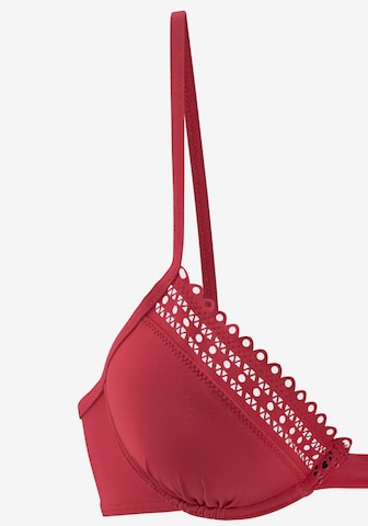 Push-up Hauts de bikini s.Oliver en rouge