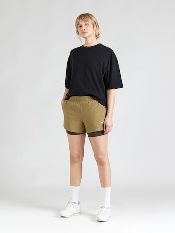 THE NORTH FACEregular Sportske hlače 'FLEX' - siva boja