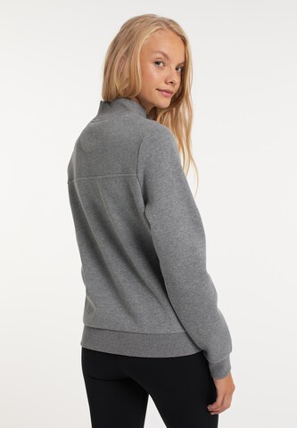 TALENCE Sweatshirt in Grey