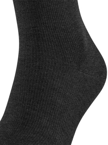 FALKE Knee High Socks 'Energizing Wool' in Grey