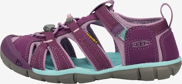 KEEN Sandals 'Seacamp 2' in Purple