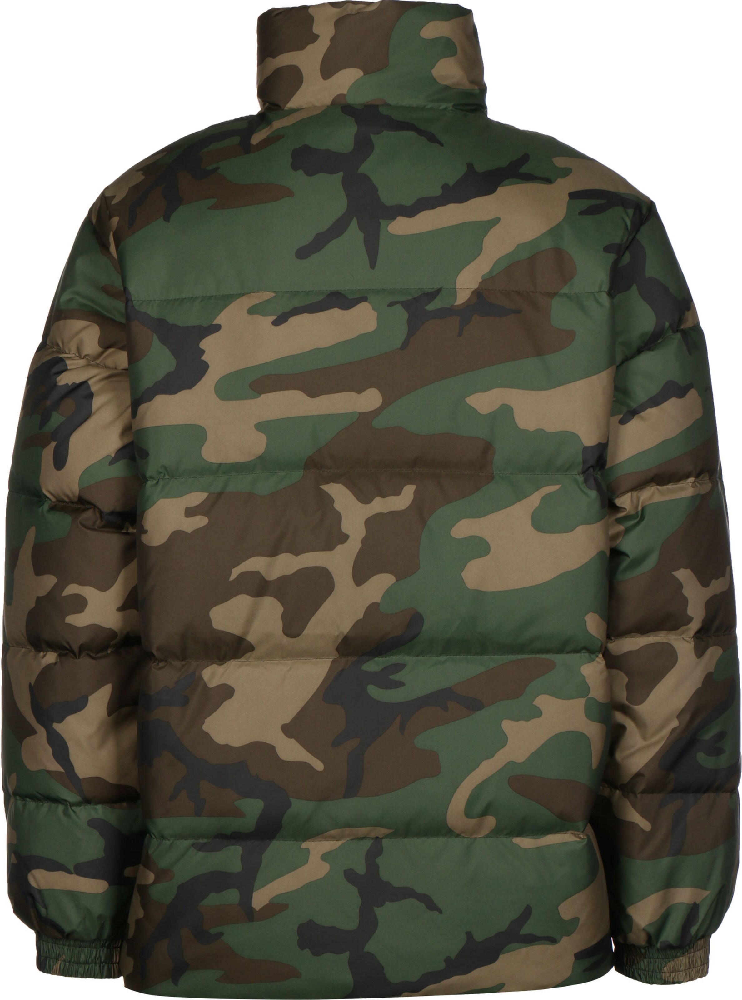 Giacca invernale 'Danville' di Carhartt WIP in verde