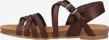 COSMOS COMFORT Strap Sandals in Brown: front