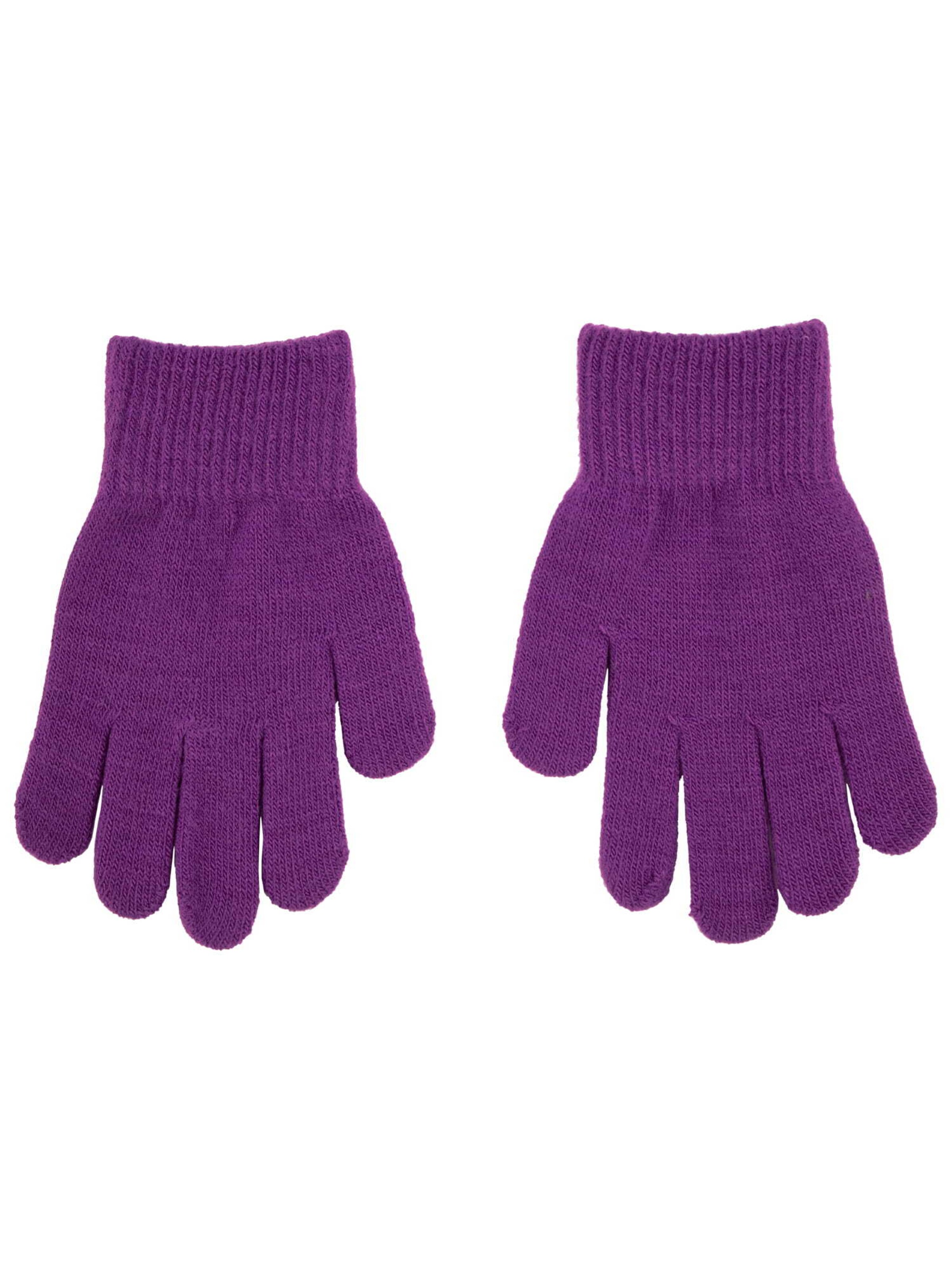 Villervalla Gloves in Purple