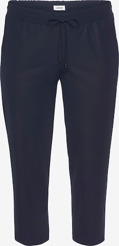 KjBRAND Regular Pants in Blue: front