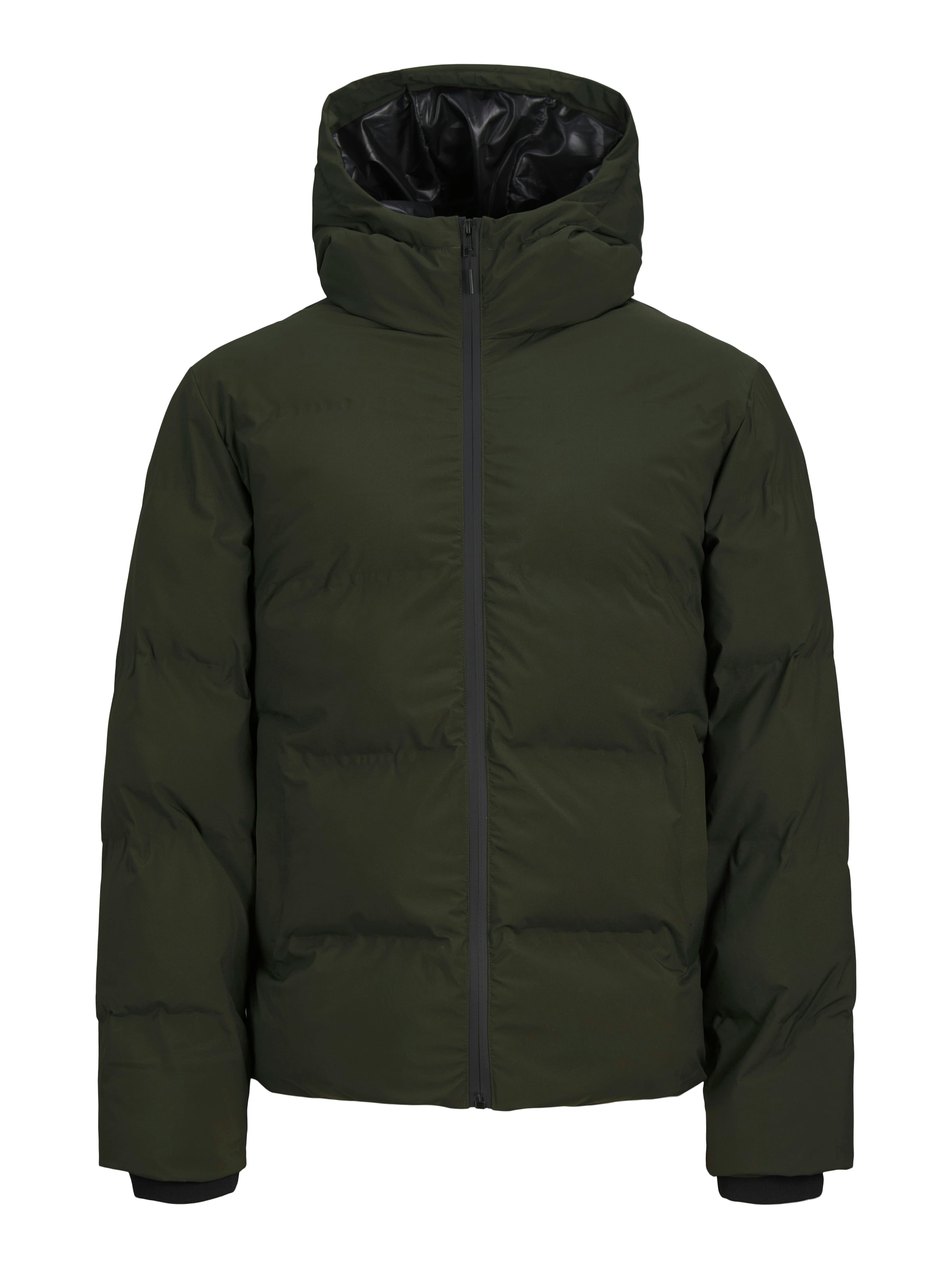 Giacca invernale 'JJPayne' di JACK & JONES in verde: frontale