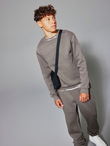 Felpa di NAME IT in grigio