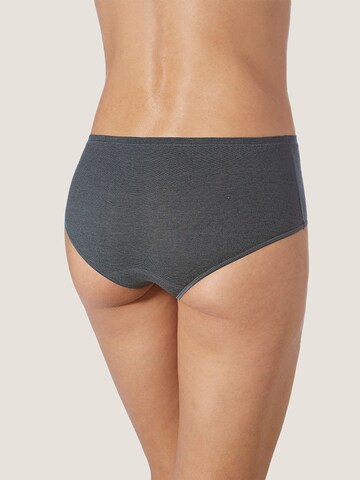 zd ZERO DEFECTS Boyshorts 'Circe soy fiber hipster panties' in Grey