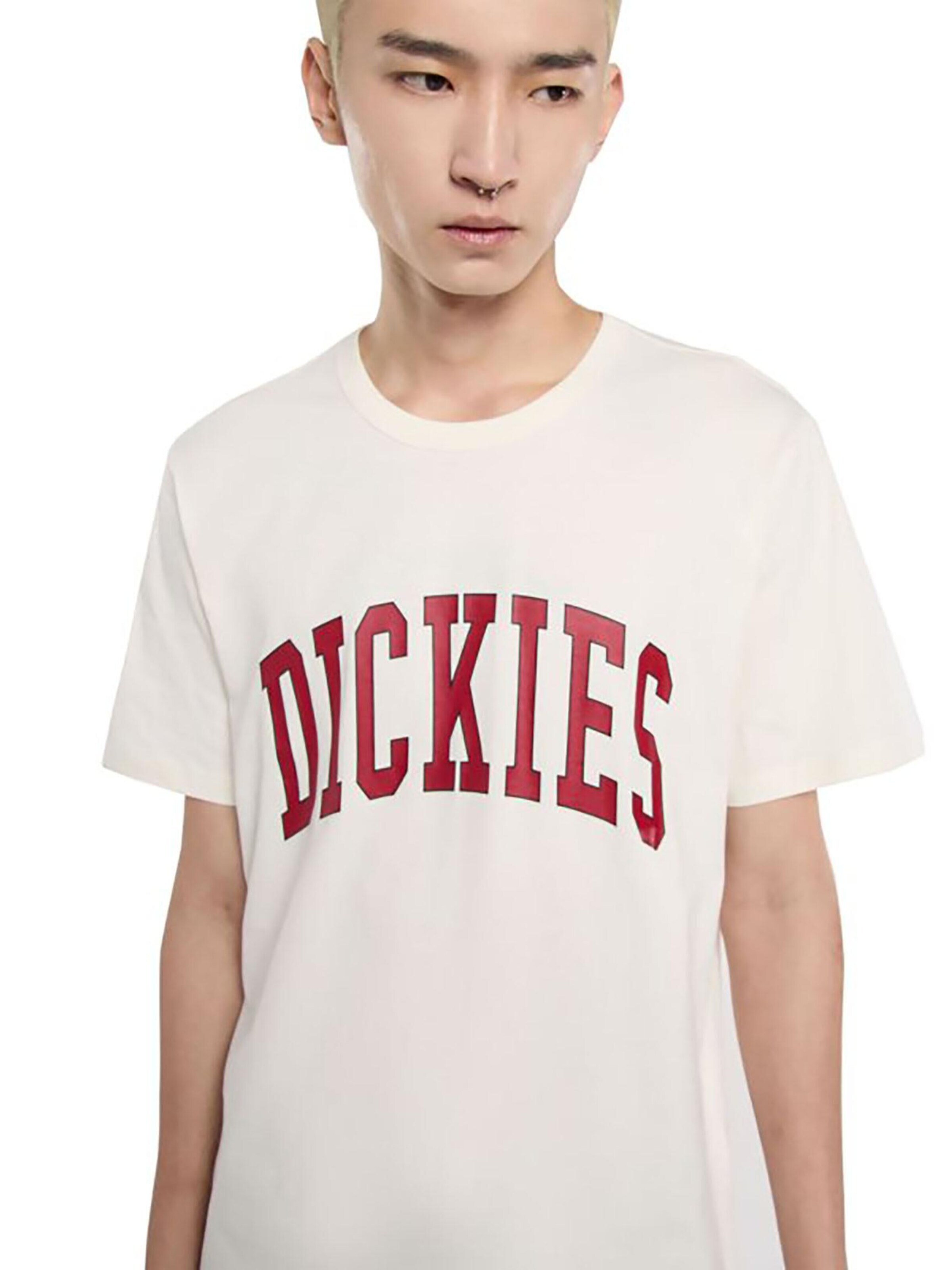 DICKIES Shirt 'Aitkin' in Beige