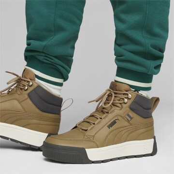 PUMA Sneakers laag 'Tarrenz SB III' in Beige: voorkant