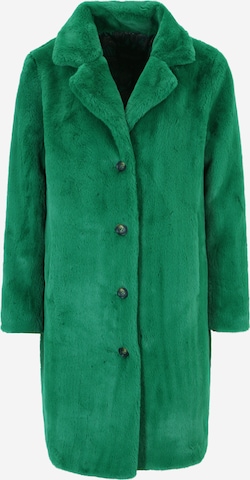OAKWOOD Winter Coat 'CYBER' in Green: front