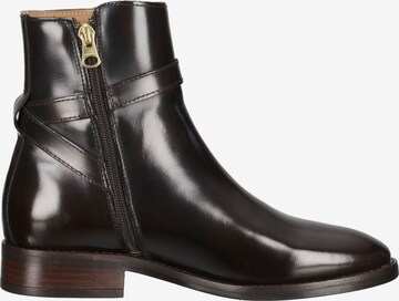 GANT Ankle Boots in Brown