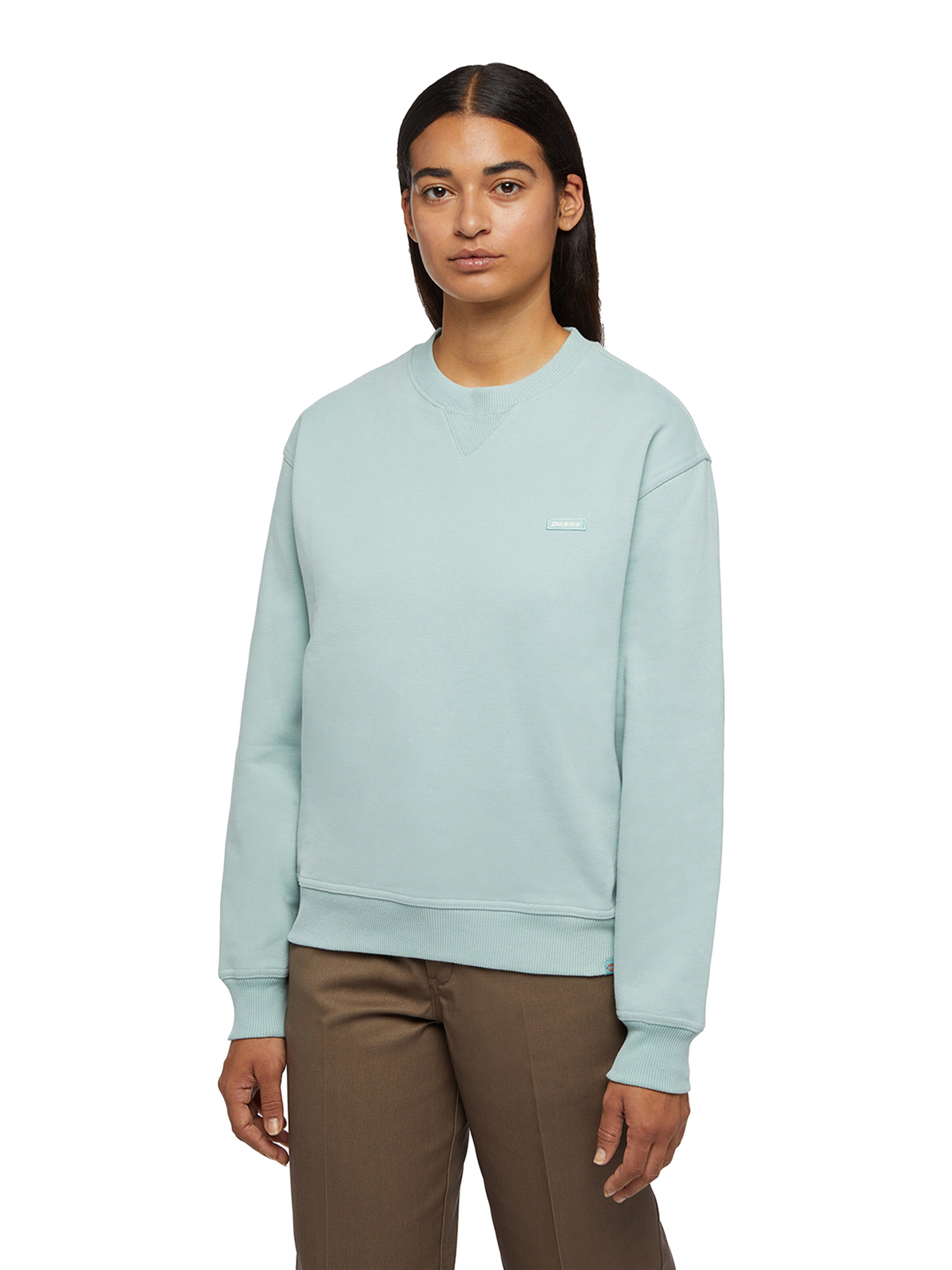 DICKIES Sweatshirt 'CLANCY' in Green: front