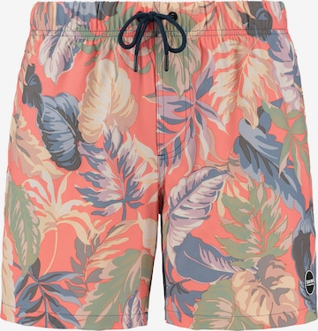 Shiwi Board Shorts in Mixed colors: front