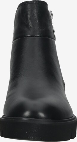 PIKOLINOS Ankle Boots 'Salamanca' in Black