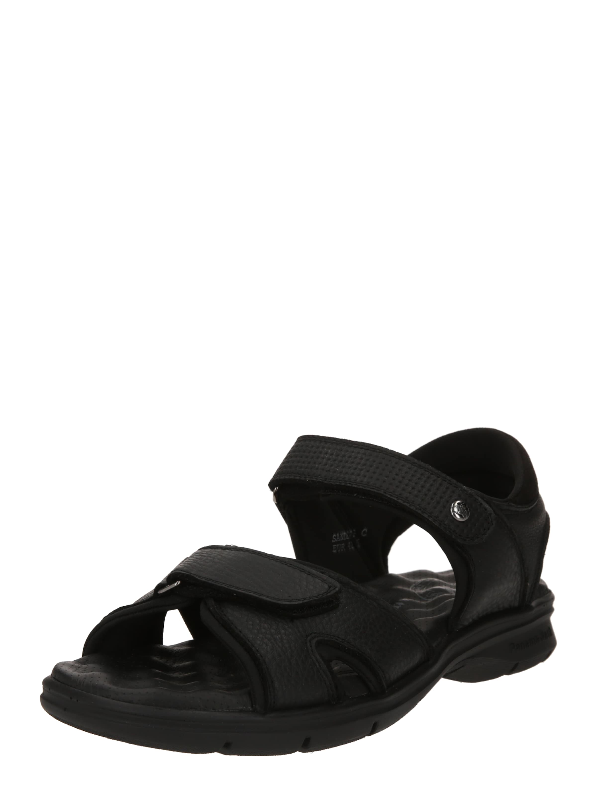 PANAMA JACK Sandals 'Sanders' in Black: front